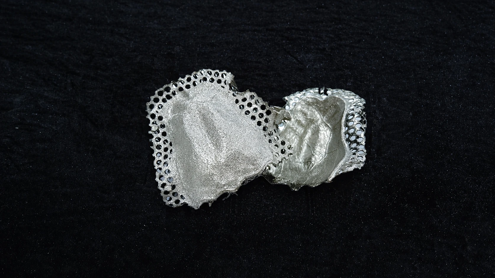Oral Cavity